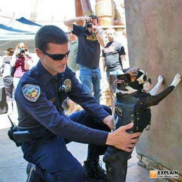 бессмысленные фото, человеческая глупость, не поддающиеся объяснению 