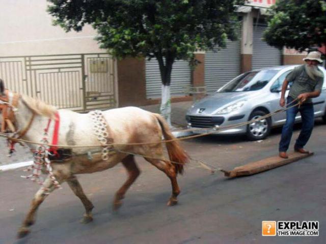 бессмысленные фото, человеческая глупость, не поддающиеся объяснению 