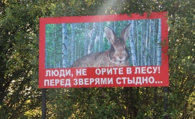 Шедевральные надписи и объявления VIII маразмы, объявления, смешные надписи, прикол