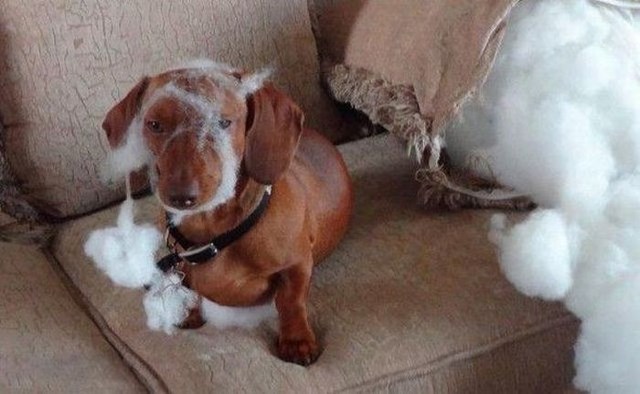 смешные фото, прикол, юмор, смешные картинки 