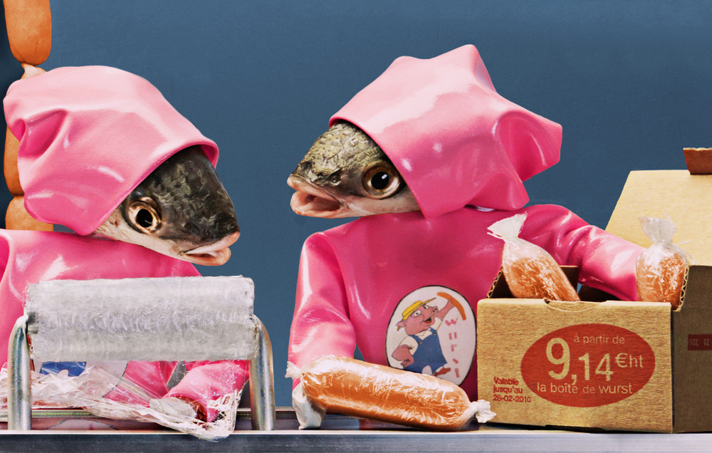 Рыбья голова, Fish Head, художница, Анн-Катрин Беккер Эчивард, Anne-Catherine Becker Echivard