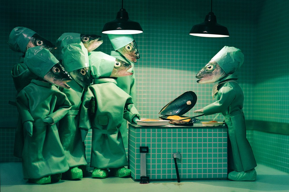 Рыбья голова, Fish Head, художница, Анн-Катрин Беккер Эчивард, Anne-Catherine Becker Echivard