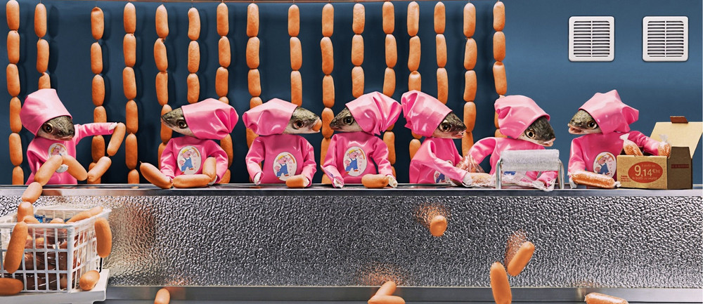 Рыбья голова, Fish Head, художница, Анн-Катрин Беккер Эчивард, Anne-Catherine Becker Echivard