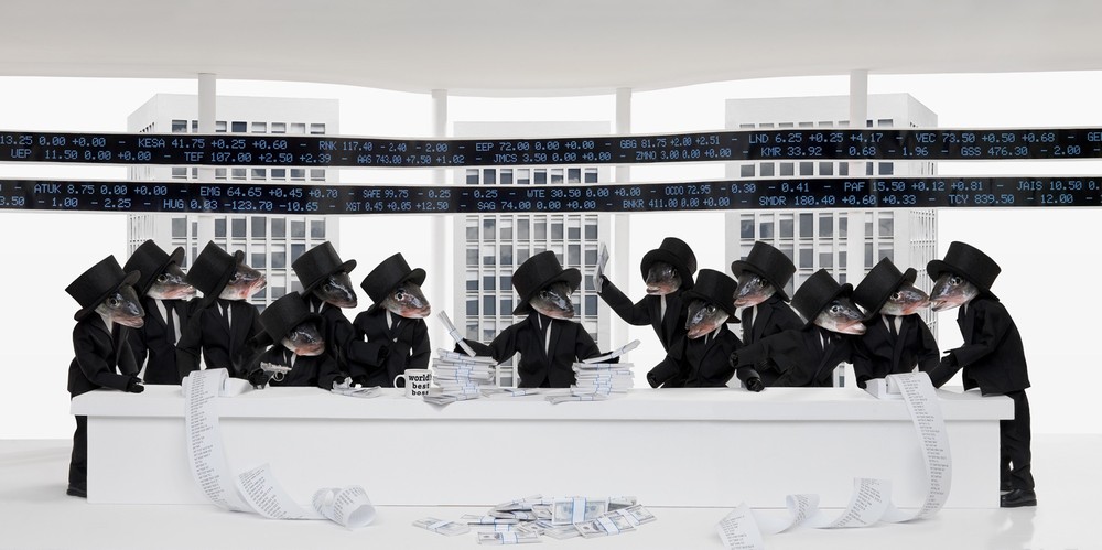 Рыбья голова, Fish Head, художница, Анн-Катрин Беккер Эчивард, Anne-Catherine Becker Echivard