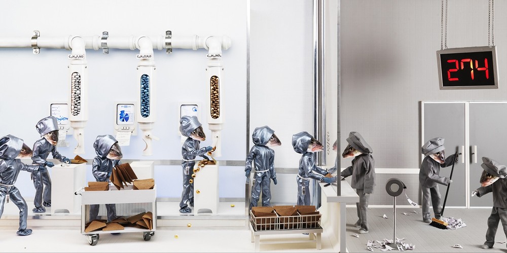 Рыбья голова, Fish Head, художница, Анн-Катрин Беккер Эчивард, Anne-Catherine Becker Echivard