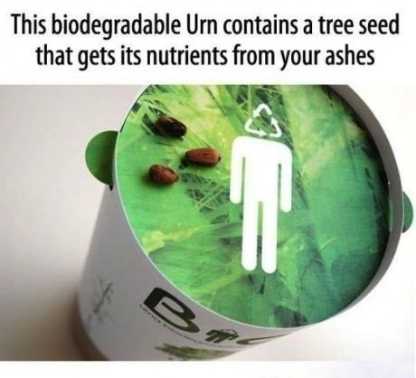 Изображения, которые перевернут ваше представление о мире Интересные,наука, картинки, перевернут ваш мир, анимация