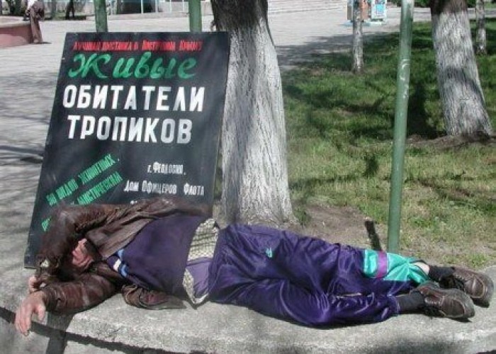 смешные картинки,прикольные картинки,юмор,маразмы