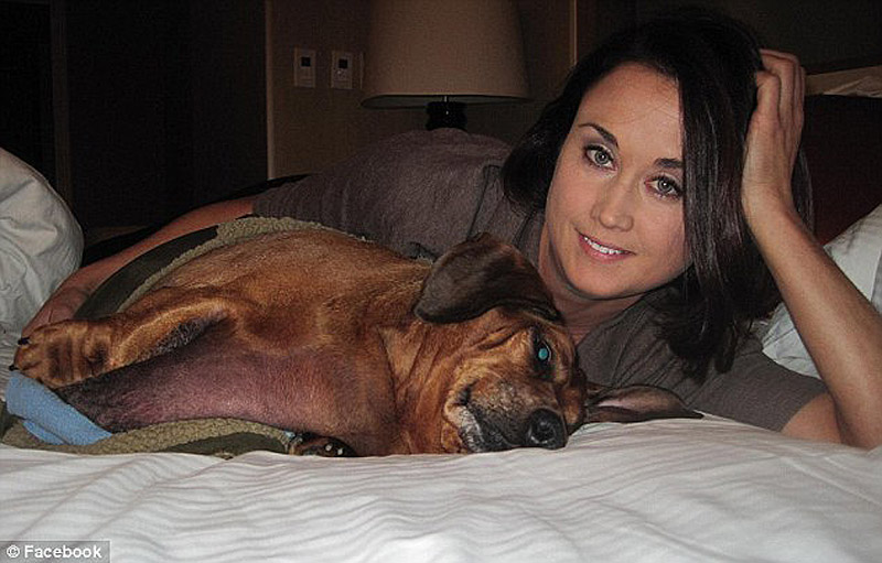 Разжиревшая, такса, Оби, похудела, 22 кг, операция, до и после