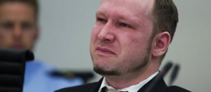 хладнокровные, улыбки, убийц,террористы, Мэнсон, Брейвик, Чикатило, 