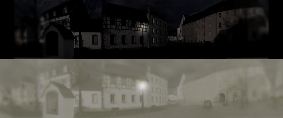 Окружающий мир, глазами кошки, как видят кошки, почему горят глаза