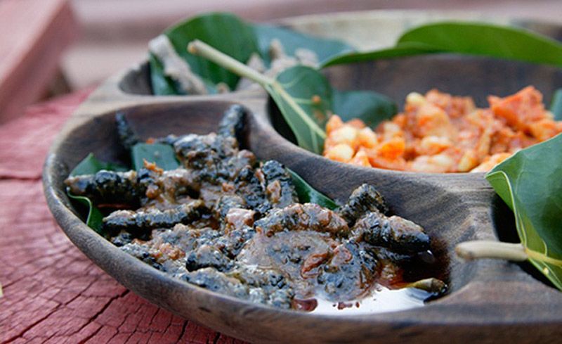 Гид по экзотическим деликатесам из насекомых Гид, экзотические деликатесы, блюда из насекомых,азия