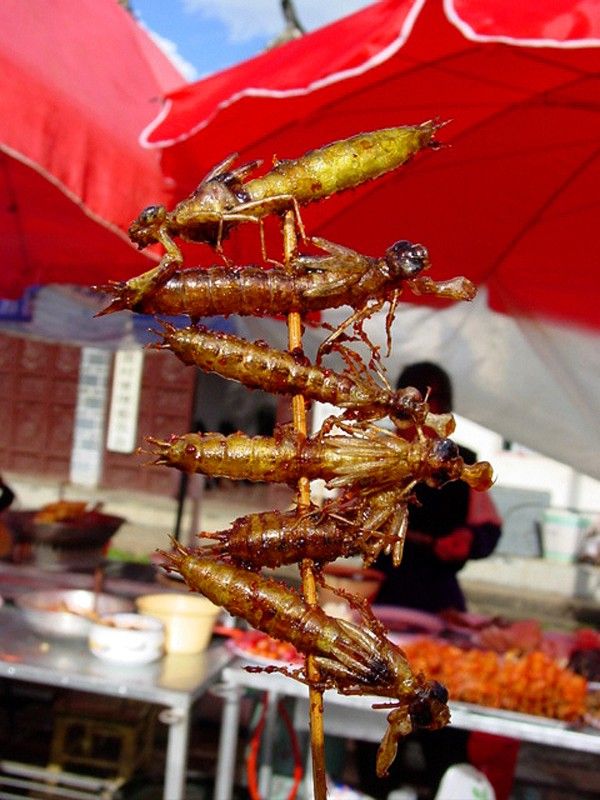 Гид по экзотическим деликатесам из насекомых Гид, экзотические деликатесы, блюда из насекомых,азия
