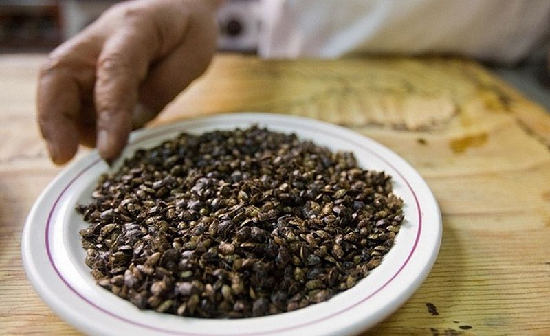 Гид по экзотическим деликатесам из насекомых Гид, экзотические деликатесы, блюда из насекомых,азия