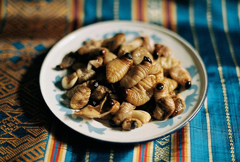 Гид по экзотическим деликатесам из насекомых Гид, экзотические деликатесы, блюда из насекомых,азия