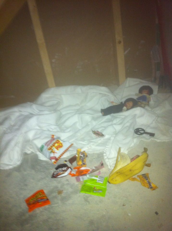 Страшное, открытие, скрывает, американский, доме, тайная комната, лестница вниз, кто-то жил