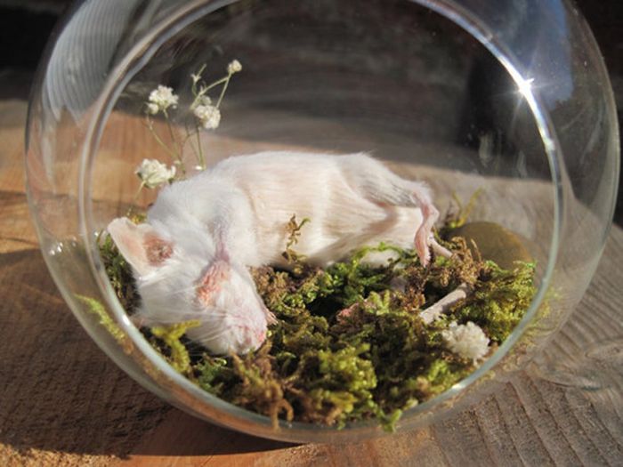 Смешные, необычные, сумасшедшие, новогодние украшения