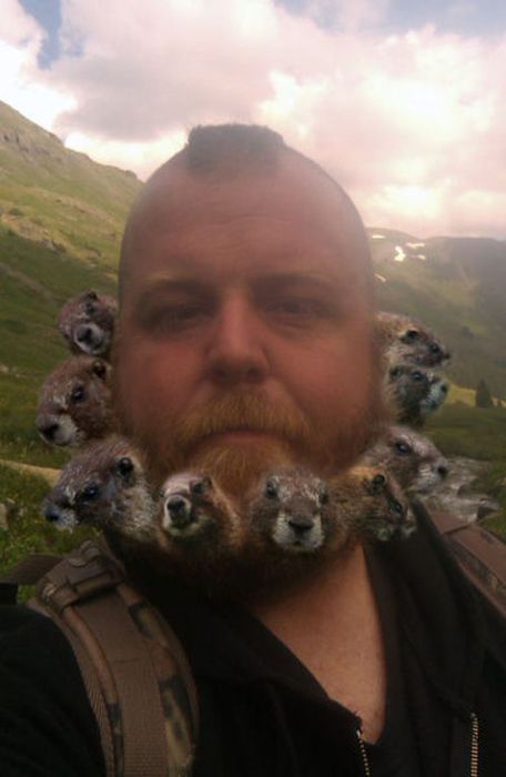  фотошоп, photoshop, смешное,люди,животные