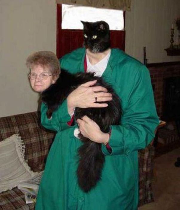  фотошоп, photoshop, смешное,люди,животные