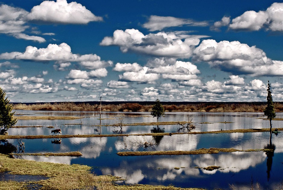 православная фотография, конкурс 