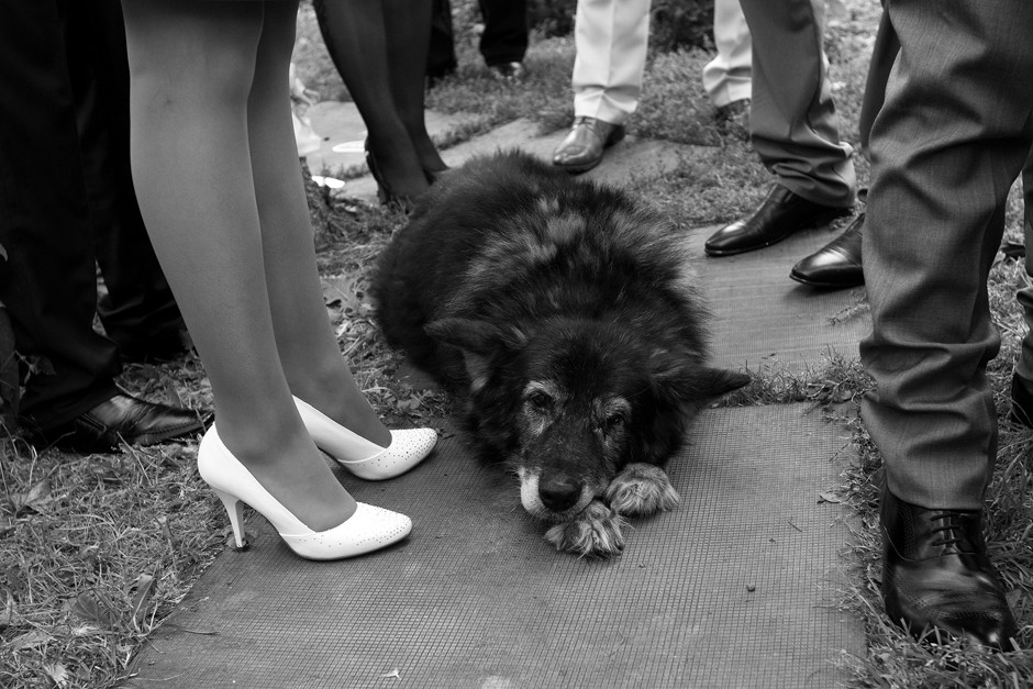 православная фотография, конкурс 