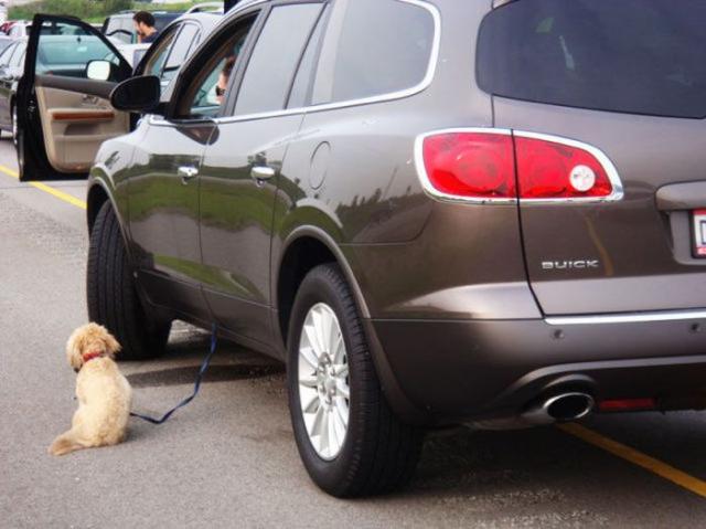 женщина за рулём