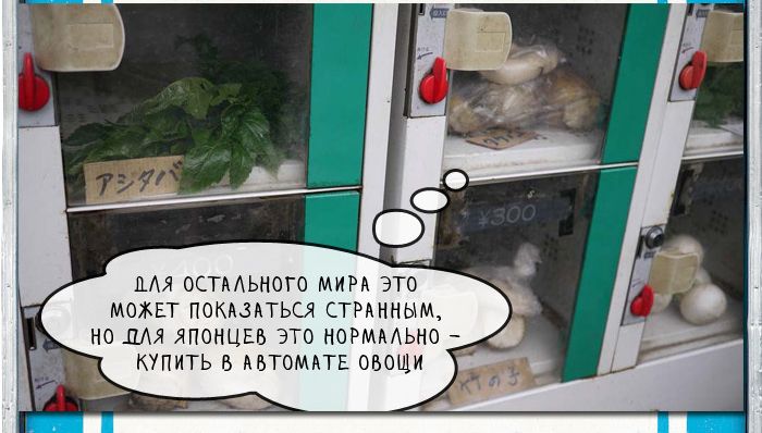 Вездесущие вендинговые автоматы по продаже товаров в Японии Вендинговые, автоматы, в Японии, продажа, товаров, трусики школьниц