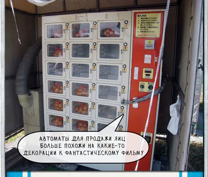 Вездесущие вендинговые автоматы по продаже товаров в Японии Вендинговые, автоматы, в Японии, продажа, товаров, трусики школьниц