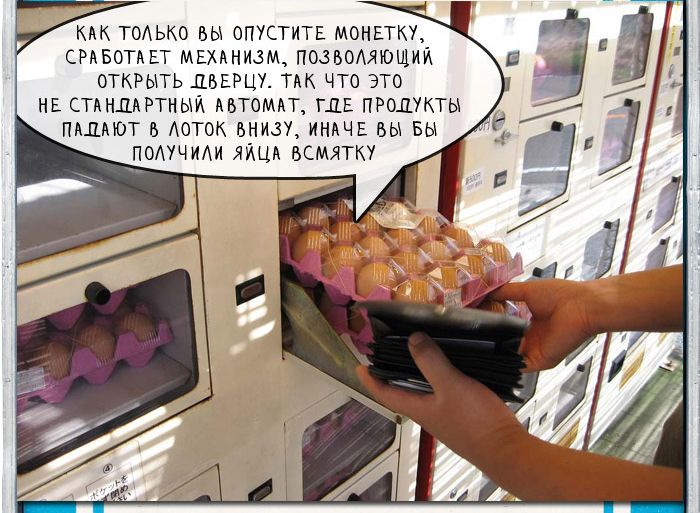 Вездесущие вендинговые автоматы по продаже товаров в Японии Вендинговые, автоматы, в Японии, продажа, товаров, трусики школьниц