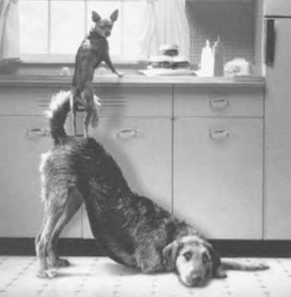 командный дух,взаимопомощь,дружба,команда