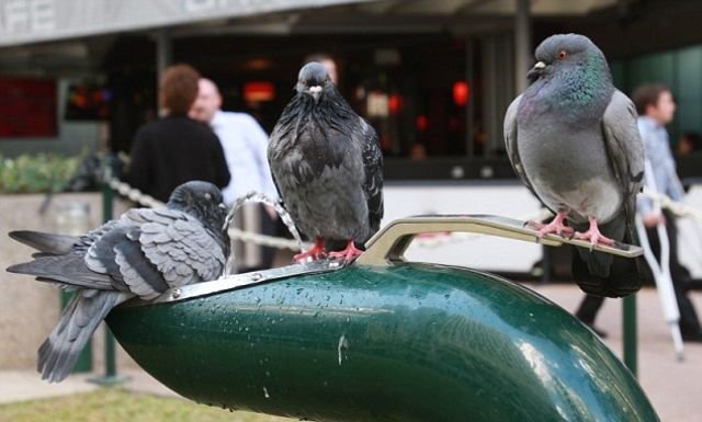 командный дух,взаимопомощь,дружба,команда