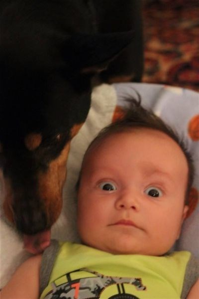 смешные фото, прикол,юмор,смешные картинки 