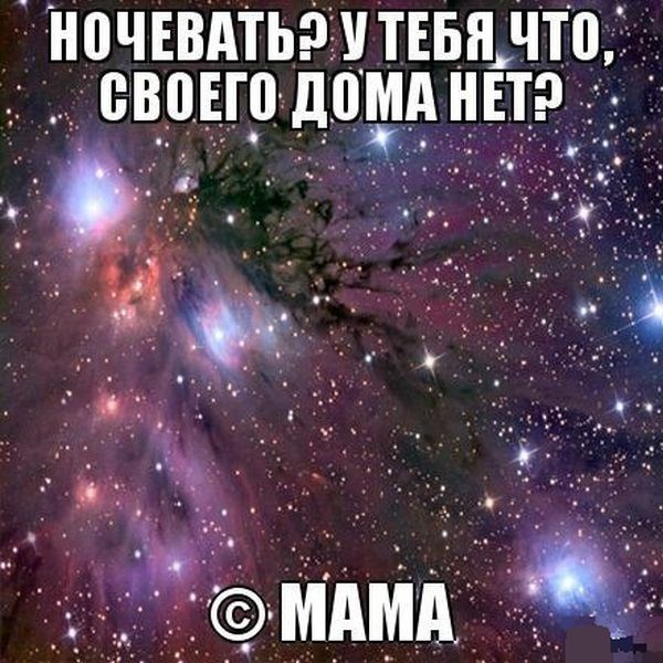 смешные фото, прикол,юмор,смешные картинки 