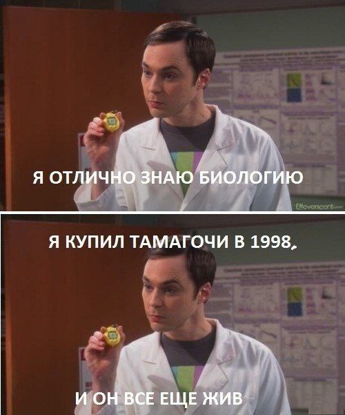 смешные фото, прикол,юмор,смешные картинки 