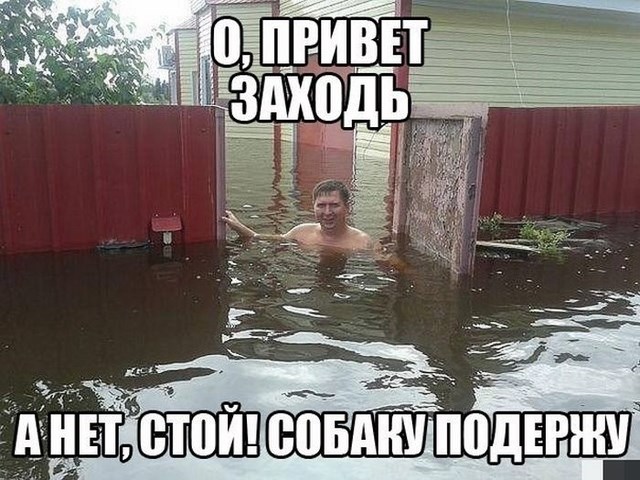 смешные фото, прикол,юмор,смешные картинки 