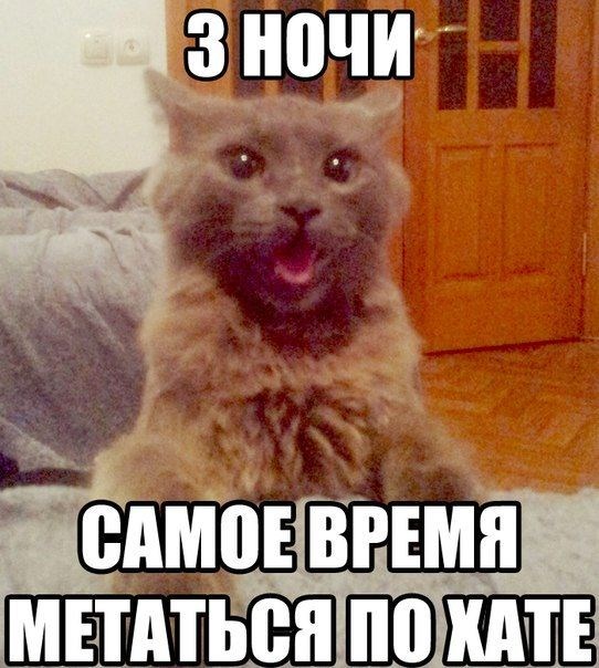 смешные фото, прикол,юмор,смешные картинки 