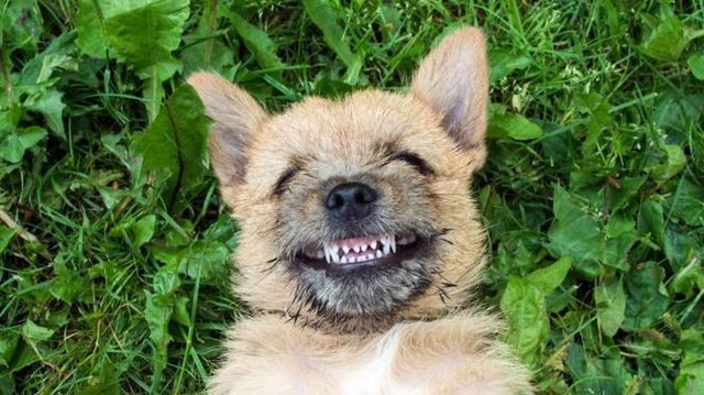 смешные фото, прикол,юмор,смешные картинки 