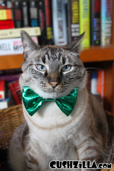 Парики для домашних питомцев Парики, для животных, Леа Уоркмен, Cushzilla, Леди Гага, Кэти Перри, Бритни Спирс, Мэрилин Монро