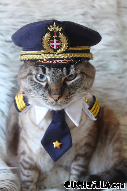 Парики для домашних питомцев Парики, для животных, Леа Уоркмен, Cushzilla, Леди Гага, Кэти Перри, Бритни Спирс, Мэрилин Монро