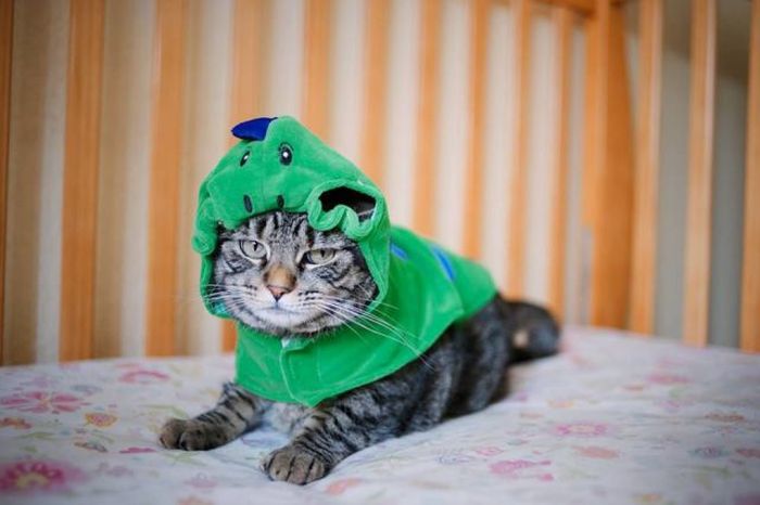 смешные картинки,прикольные картинки,юмор