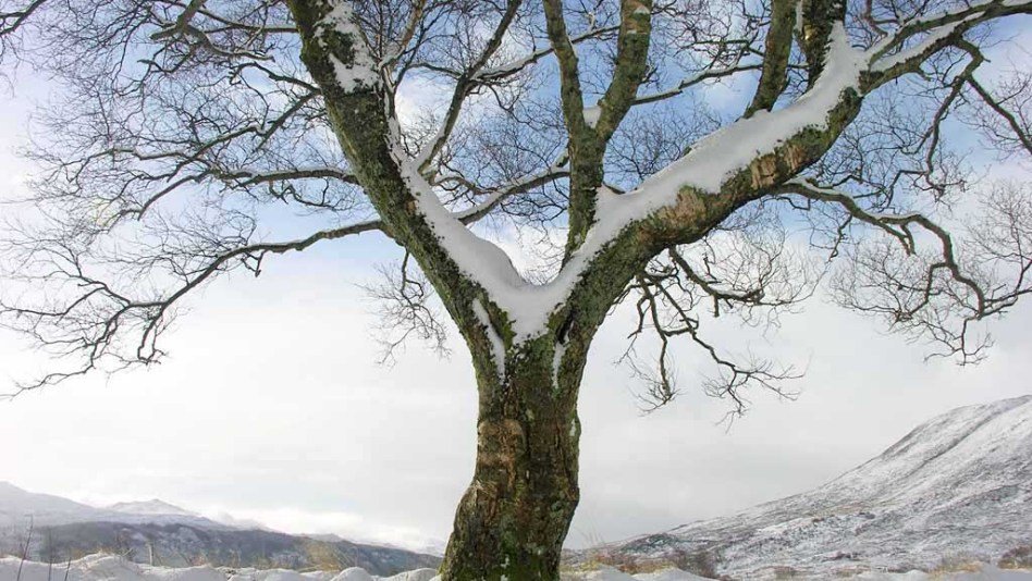 неудачные попытки самоубийства,истории
