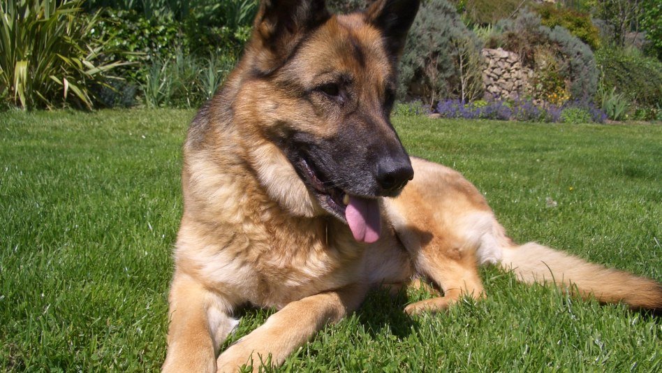 неудачные попытки самоубийства,истории