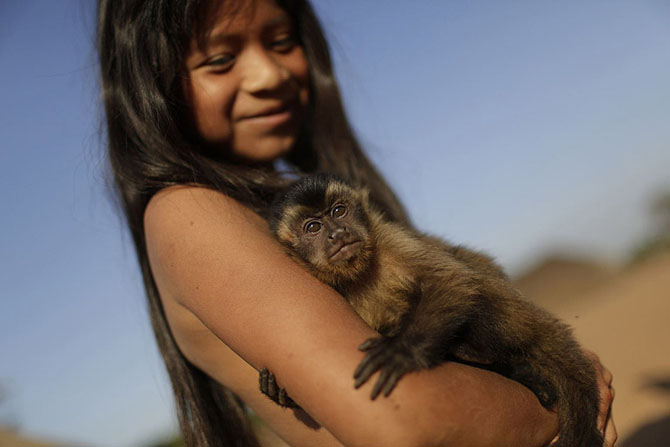 дикие животные дома, экзотические животные 