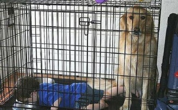 Худшие, родители, дети, бедные