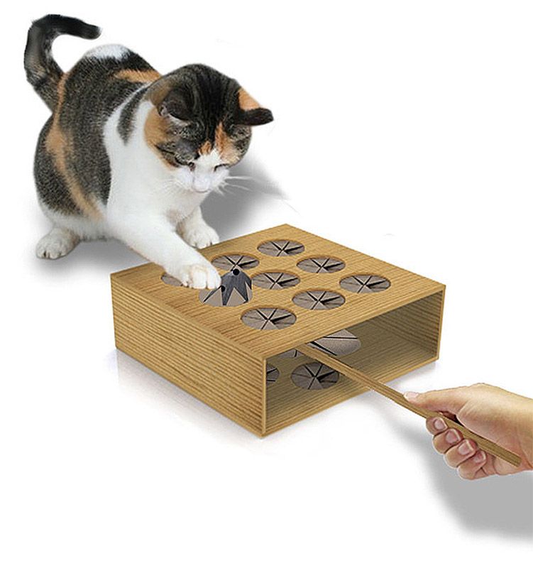 Игры делать кошку. Развивающие игрушки для котов. Игрушка кот. Деревянные игрушки для кошек. Необычные игрушки для кошек.