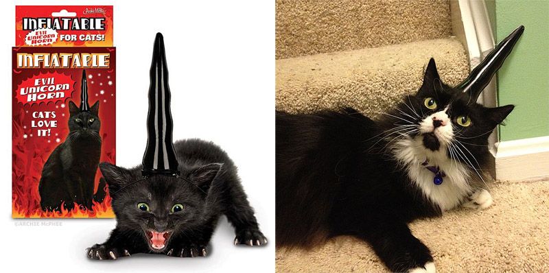 Причудливые, товары, коты и кошки, кошатники 