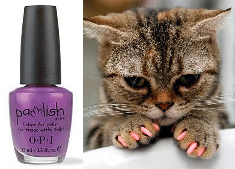 Причудливые, товары, коты и кошки, кошатники 