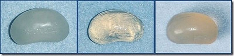 Причудливые, товары, коты и кошки, кошатники 