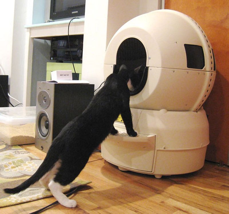 Причудливые, товары, коты и кошки, кошатники 