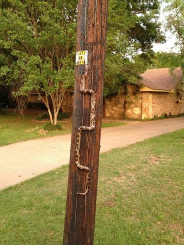 Жесткие фотографии, жесть