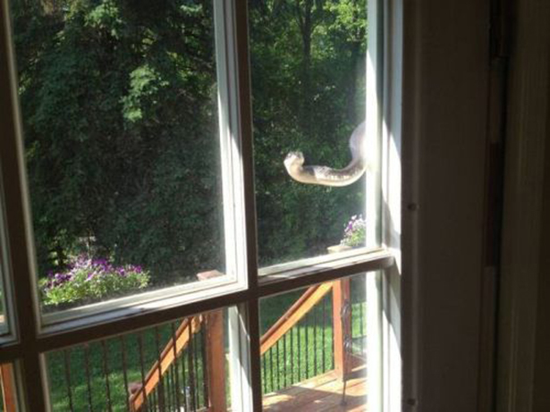 Жесткие фотографии, жесть